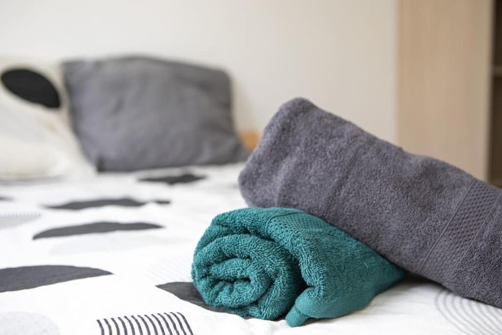 Suite Lumineux Et Moderne, Parking Gratuit, Mulhouse Centre Exterior foto
